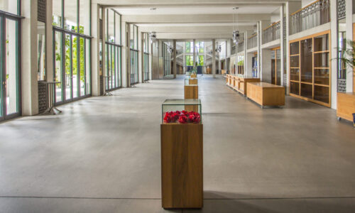 Lokalität Festspielhaus